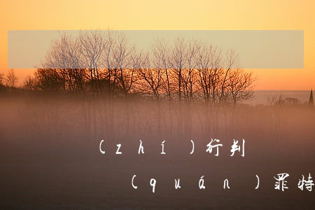 執(zhí)行判決、裁定濫用職權(quán)罪“特別重大損失”的認定